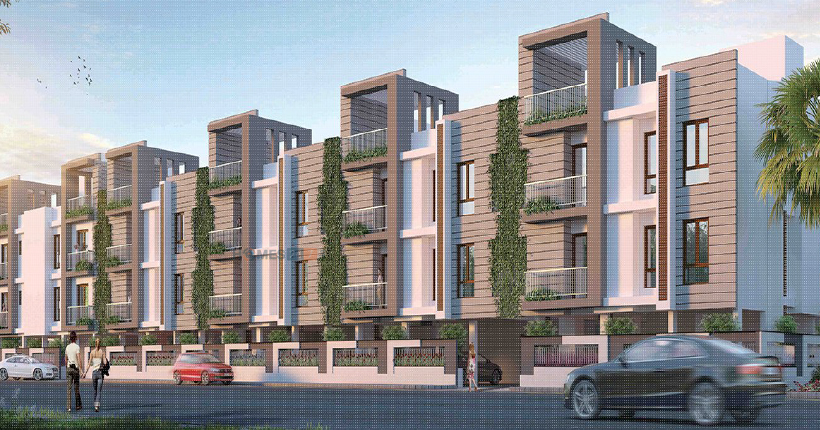 Sidharth Pearl Cover Image